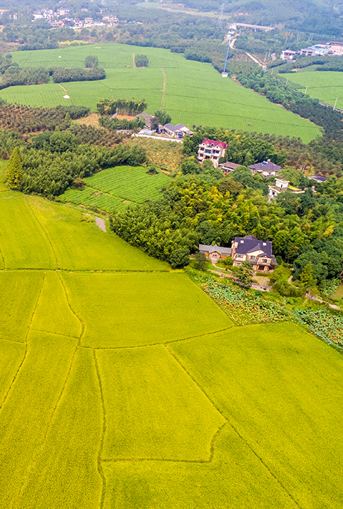 工業(yè)用水